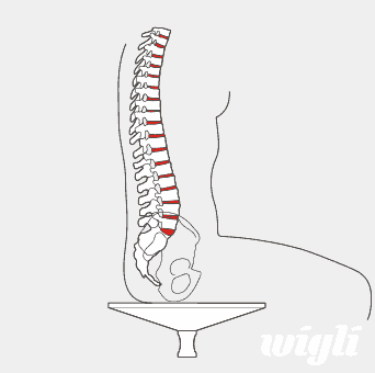 ergonomic spine saving chair voor active sitting